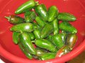 2009-08_13 Veg